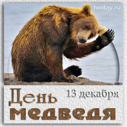 открытки с днём медведя