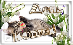 открытки с днём кота