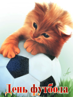 открытки gif с днём футбола