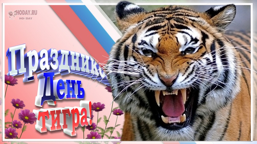 поздравления на Международный день тигра