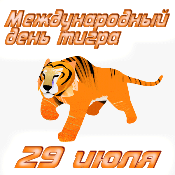 гифки на Международный день тигра