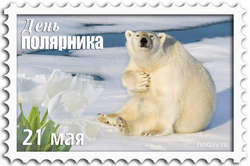 открытки с днём полярника