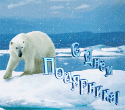открытки gif с днём полярника