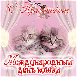 открытки gif с днём кота