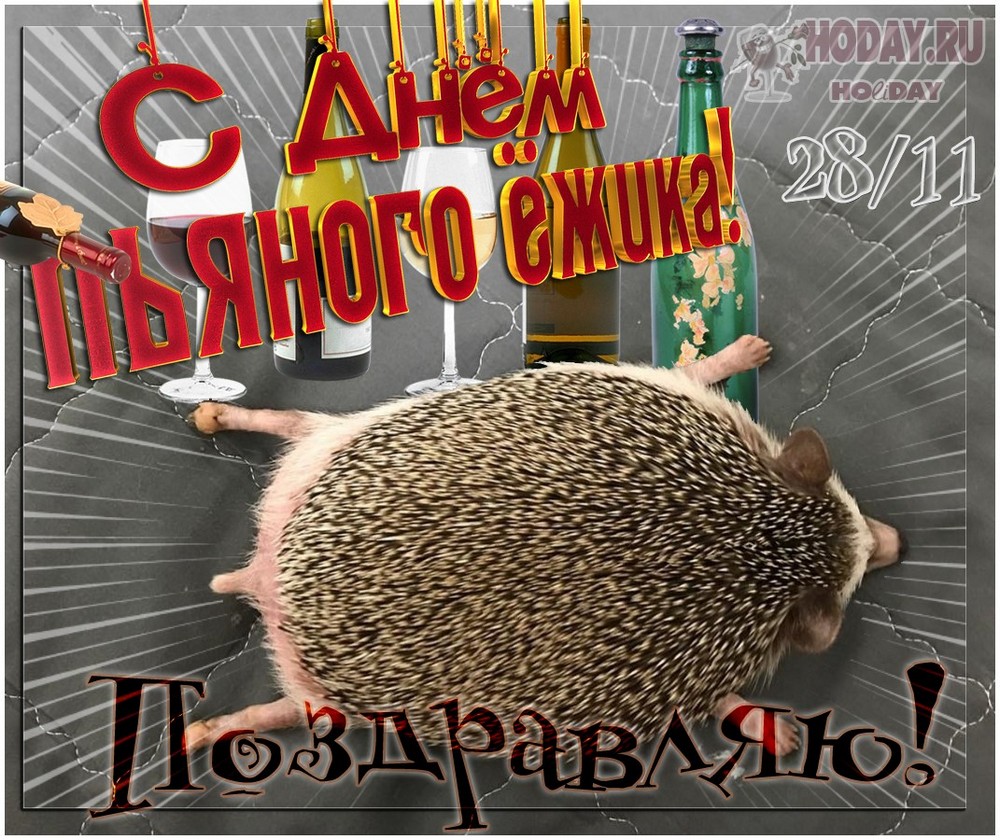 поздравления на День пьяного ёжика