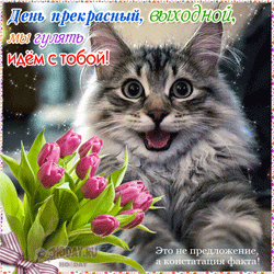  просто невозможно отказать 